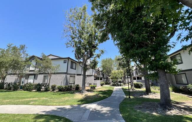 a tree lined sidewalk in front of some apartments