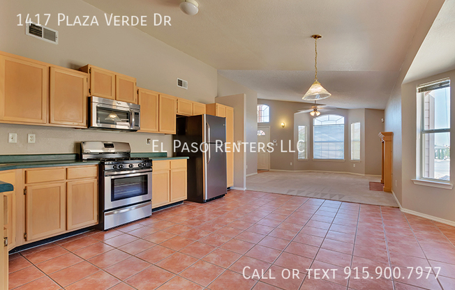 1417 PLZ VERDE DR