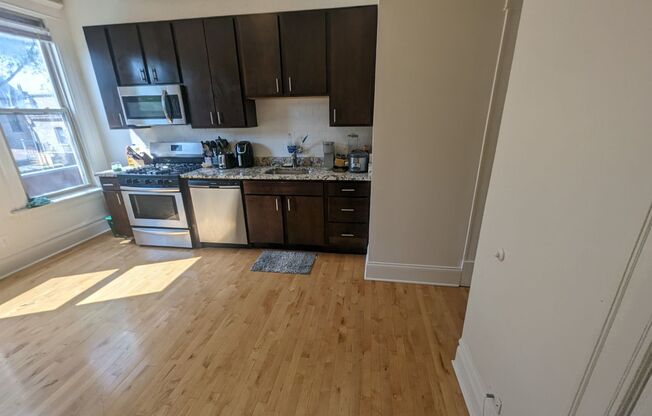 Spacious and Sunny 3 BR in the heart of Wicker Park!
