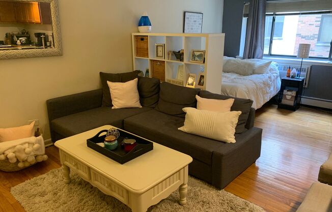 Studio, 1 bath, 400 sqft, $1,280, Unit 431-#331