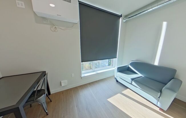 Studio, 1 bath, 314 sqft, $1,250, Unit 308