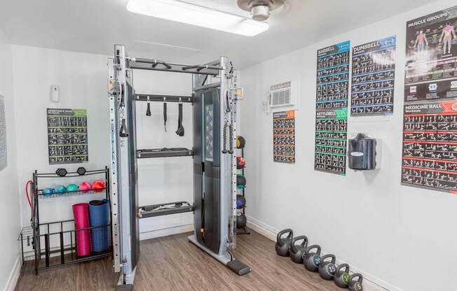 the gym with weights and a punching bag on the wall