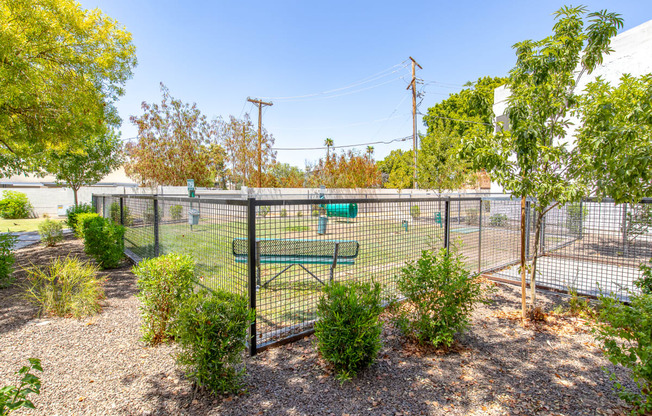 a fenced in dog park with a bench and trees