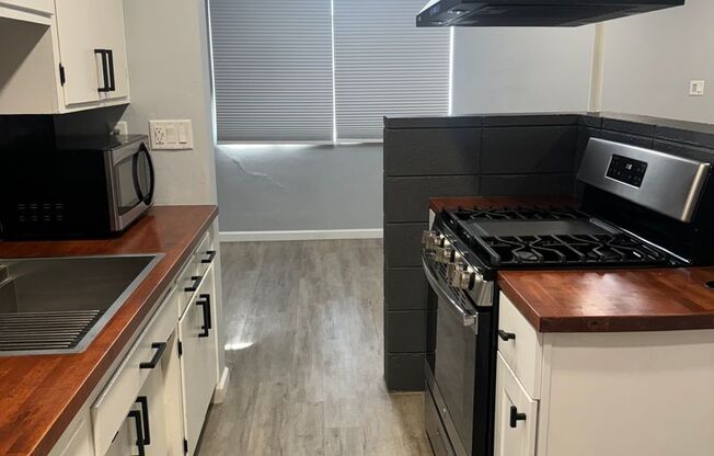 1 bed, 1 bath, $1,250