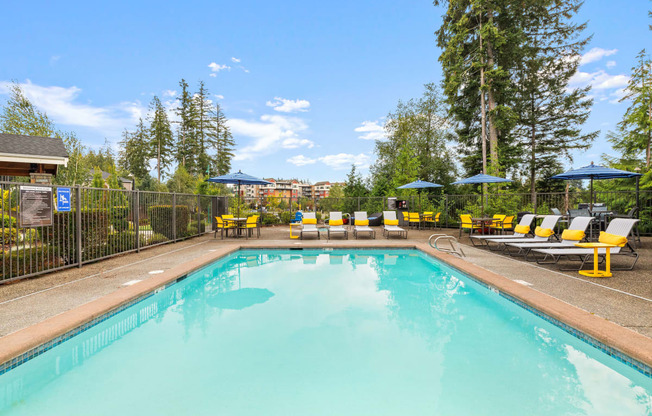 the swimming pool at the resort at paws up