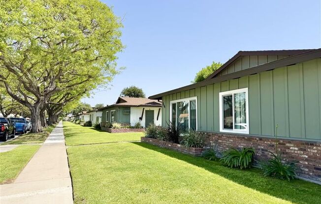 Ball - Juno - 2132  - 2134