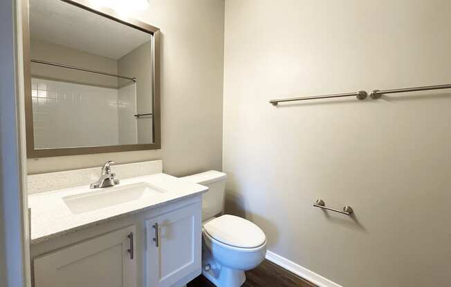 a bathroom with a toilet and a sink and a mirror