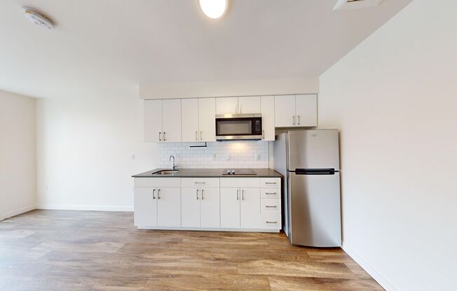 Studio, 1 bath, 338 sqft, $1,128, Unit 205