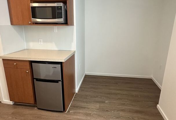 Studio, 1 bath, 175 sqft, $1,250, Unit 3401