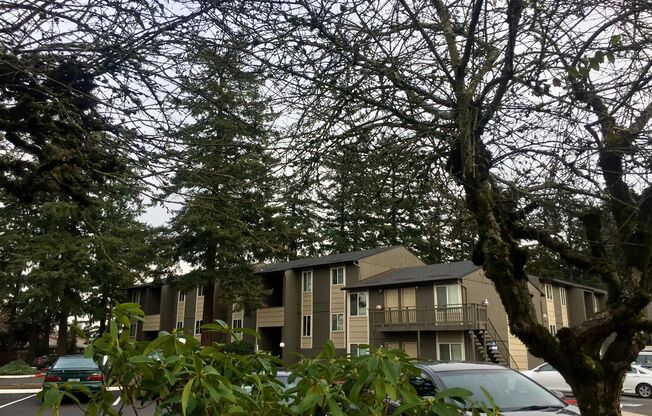 1 bed, 1 bath, 525 sqft, $1,050, Unit 62