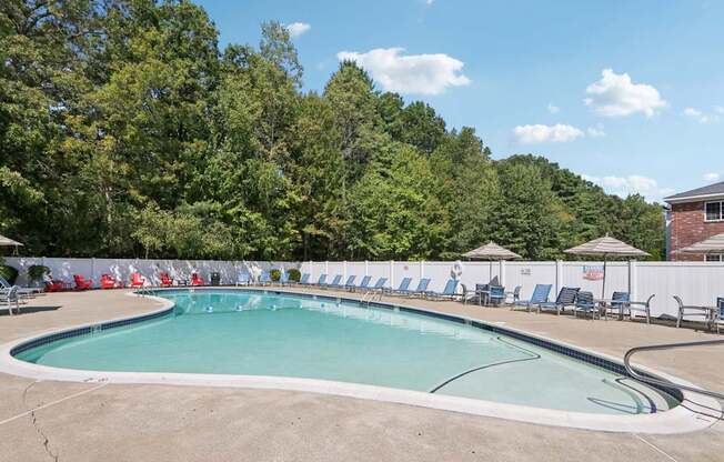 A large outdoor swimming pool surrounded by trees and lounge chairs.