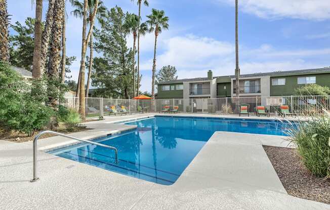 A swimming pool surrounded by palm trees and a fence.