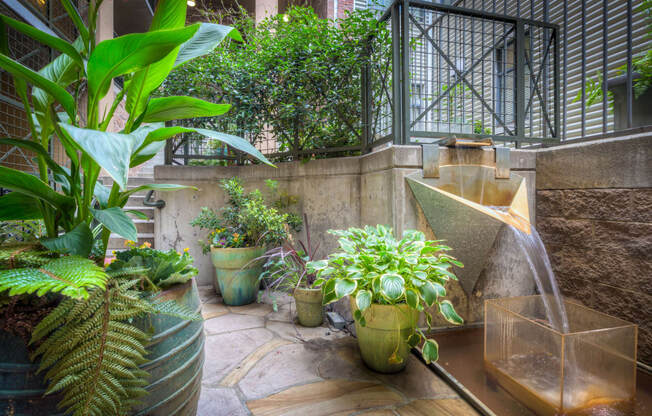 a water feature with a waterfall and a variety of plants on a patio