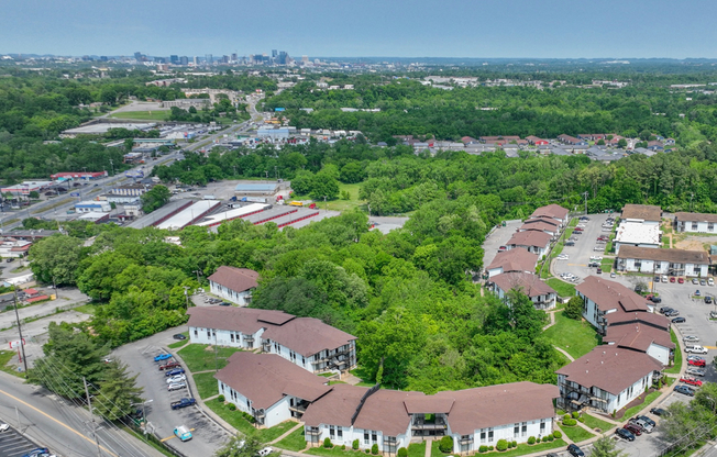 Mosaic Aerial