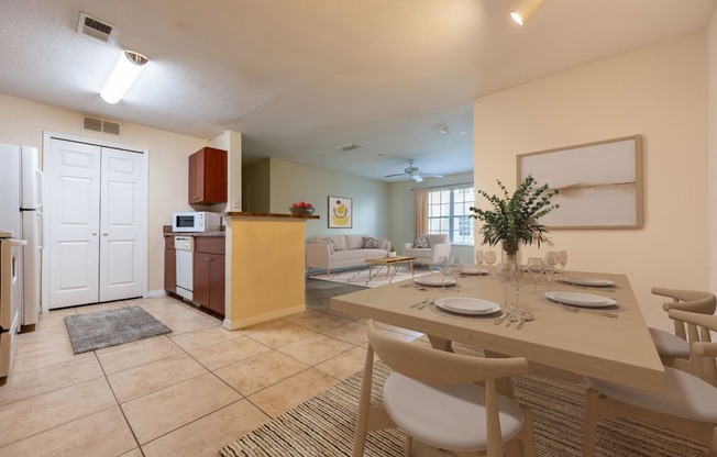 Affordable Apartments in Tampa, Florida