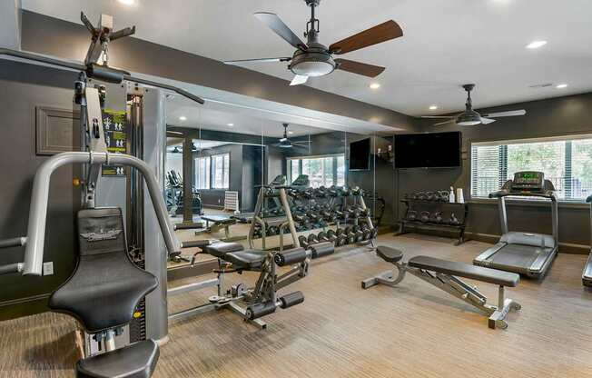 a gym with weights and cardio machines and a ceiling fan