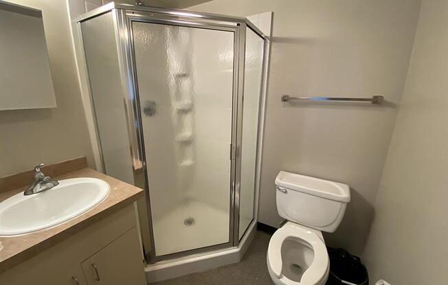 a bathroom with a shower and a toilet and a sink