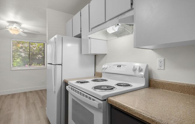 1 bed, 1 bath, 730 sqft, $1,325, Unit 02-12