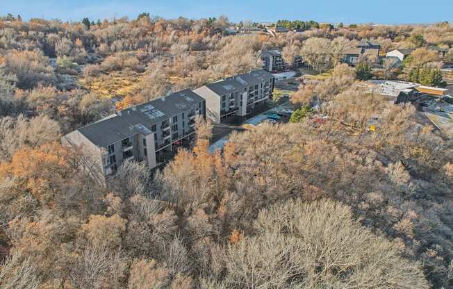 A large building surrounded by trees in autumn.