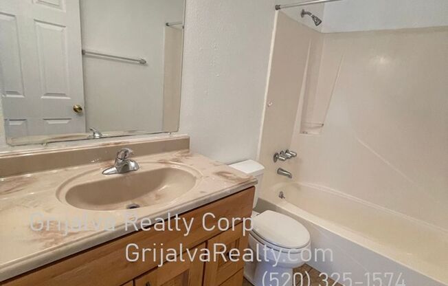 3809 Queen Palm Maintenance