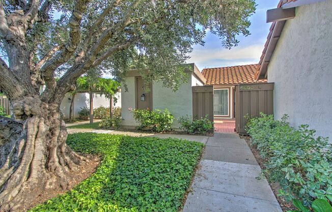 Wow! What a Great Home! Available Soon!