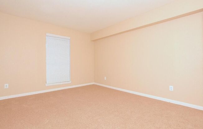1 bed, 1 bath, 575 sqft, $902