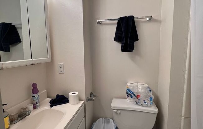 1 bed, 1 bath, 450 sqft, $1,295, Unit 204