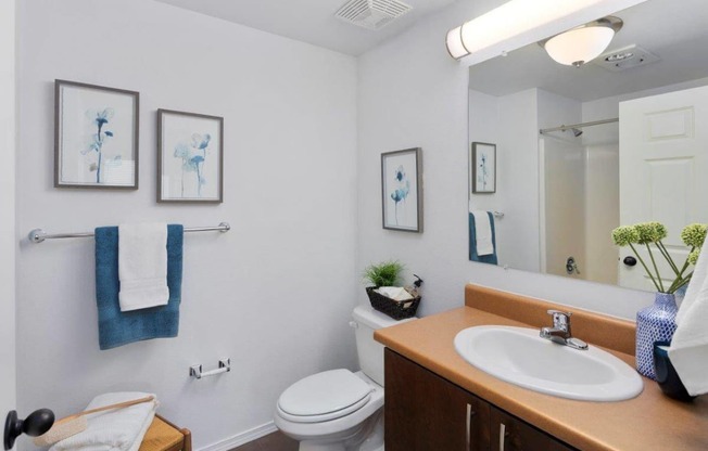 Luxurious Bathroom at Mosaic on the River Apartments, Richland, WA, 99352