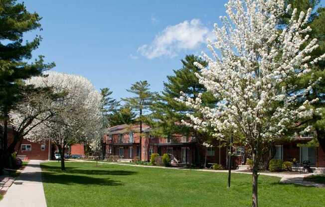 Landscaped courtyard with blossoming trees at Troy Hills Village in Parsippany, NJ,07054