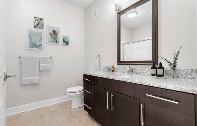 a bathroom with a vanity and a toilet and a mirror