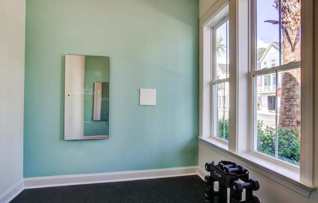 a room with two windows and a mirror and exercise equipment