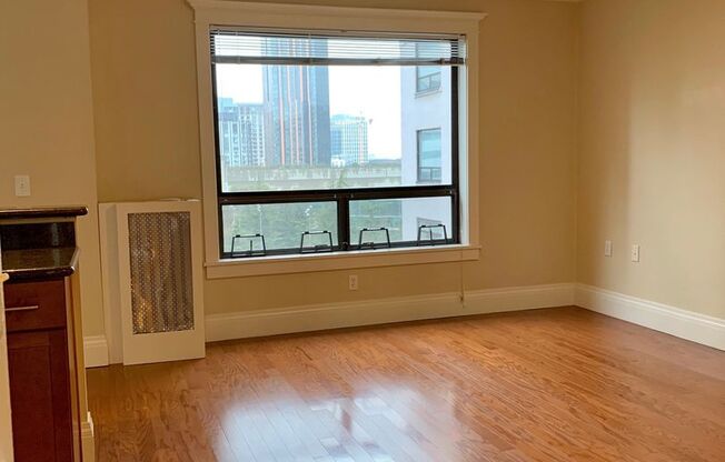 Studio, 1 bath, 527 sqft, $1,695, Unit 0702