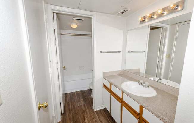 Valley Ridge Apartments in Lewisville, Texas Bathroom with Bathtub