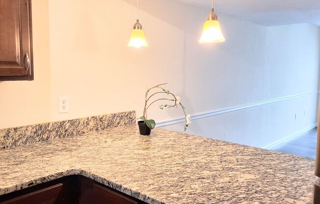 Stunning all remodeled 2/1.5 condo with Amazing Pool View close to Downtown Orlando.