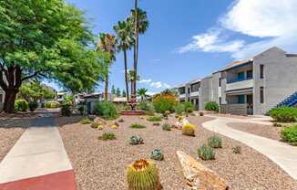 Courtyard View at Agave Apartments, Arizona, 85704