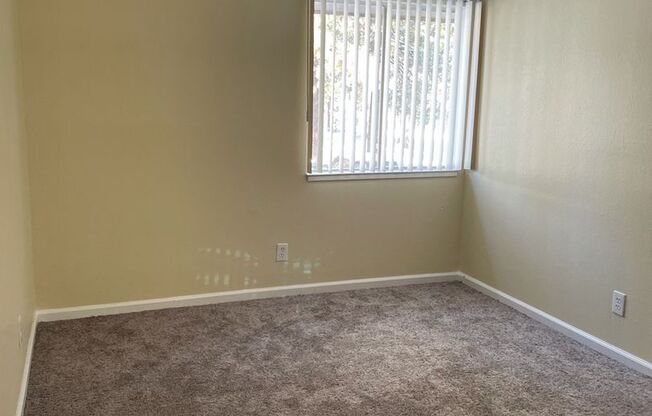 1 bed, 1 bath, 350 sqft, $1,500, Unit Apt 10