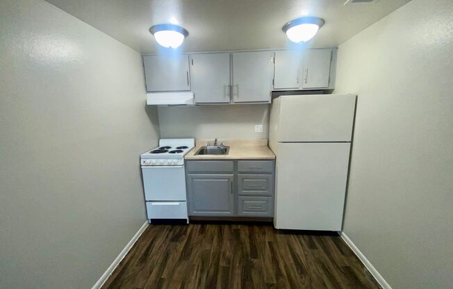 Studio, 1 bath, 445 sqft, $794, Unit 181
