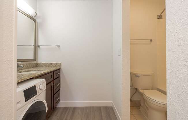 a bathroom with a sink and a toilet