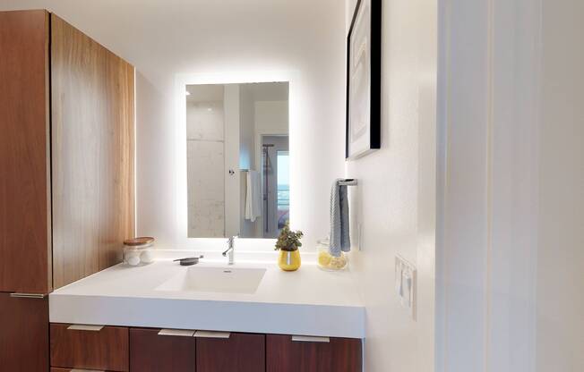 Gorgeous vanities with LED backlit mirrors and ample storage cabinetry