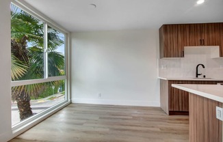 an empty kitchen with a large window overlooking a palm tree