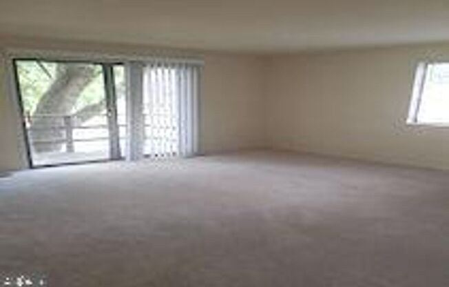 Beautiful 3BR 2.5BA Single Family Home in North Arlington