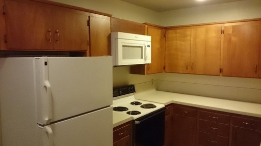 1 bed, 1 bath, 1,000 sqft, $1,269, Unit 7