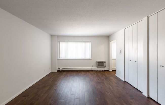 Studio, 1 bath, 400 sqft, $925, Unit 310