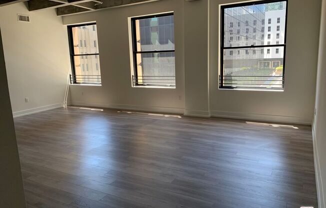 727 W 7th St Apt 1011