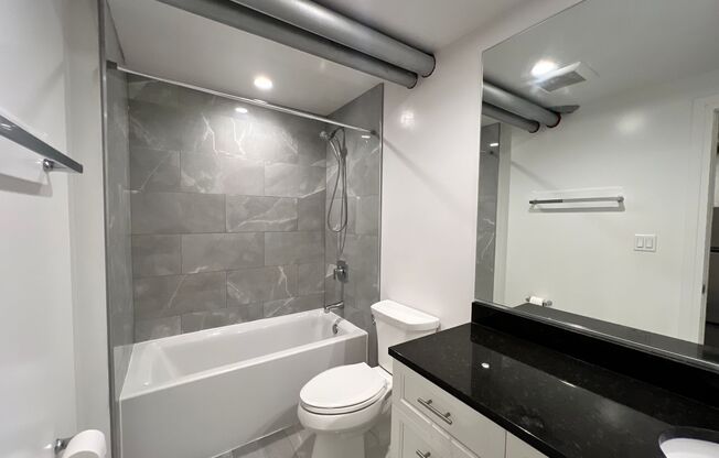 Studio, 1 bath, 457 sqft, $1,500, Unit GR 718-BS