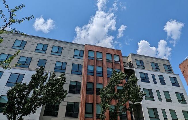3 beds, 1 bath, 1,065 sqft, $3,800, Unit 202