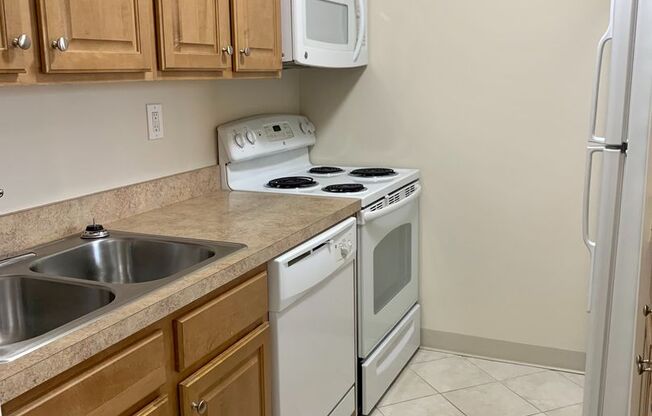 1 bed, 1 bath, 550 sqft, $945, Unit 310B