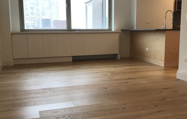 Studio, 1 bath, $4,200, Unit 20H