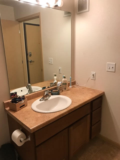 Studio, 1 bath, 454 sqft, $725, Unit 311
