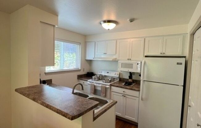 1 bed, 1 bath, 800 sqft, $1,565, Unit 1326